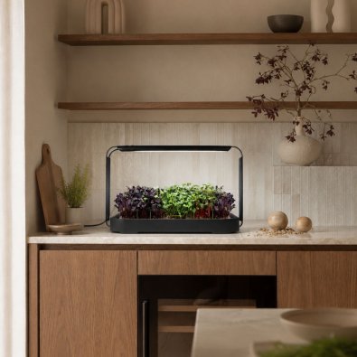 Urban Root Grove Black