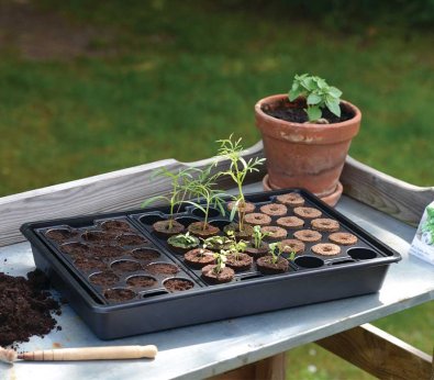 Dyrkningsbakke solid plug 23x37cm