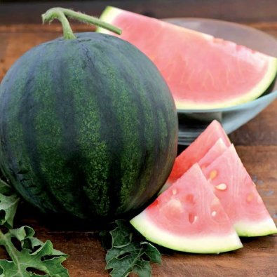 Vandmelon 'Suger baby'