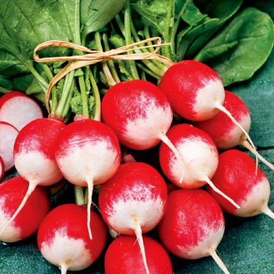 Radise 'Københavns Torve 2'