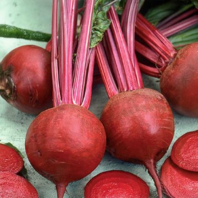 Rødbede 'Detroit 2'