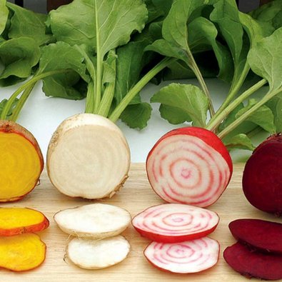 Rødbede 'Hullahoop Mix'