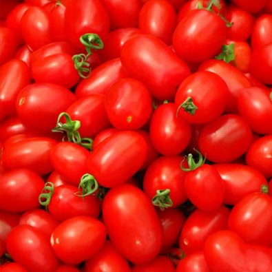 Tomat 'Ventura OChicco'