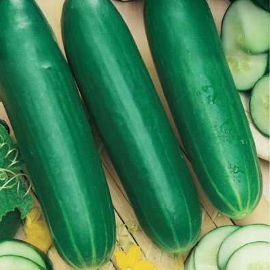 Frilandsgurk 'Fatum'