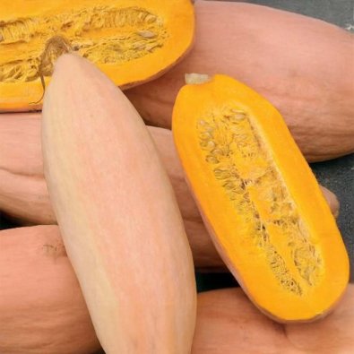 Kæmpegræskar 'Pink Banana Jumbo'