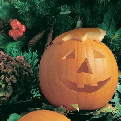 Oliegræskar 'Jack O’Lantern'