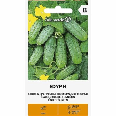Frilandagurk 'Edyp' F1