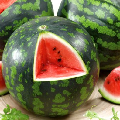 Vandmelon 'Mini Love' F1