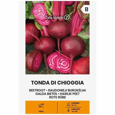 Rødbede 'Tonda di chioggia'