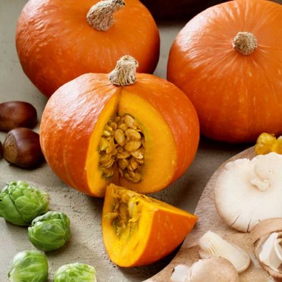 Græskar 'Gold nugget'