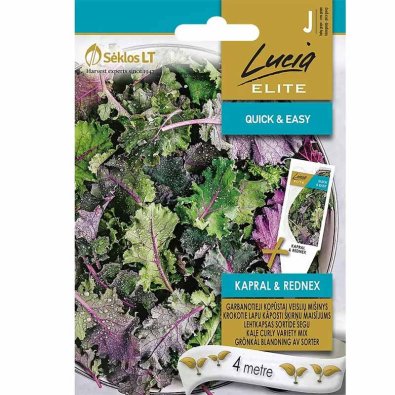 Grønkålsblandning 'Kapral & Rednex'