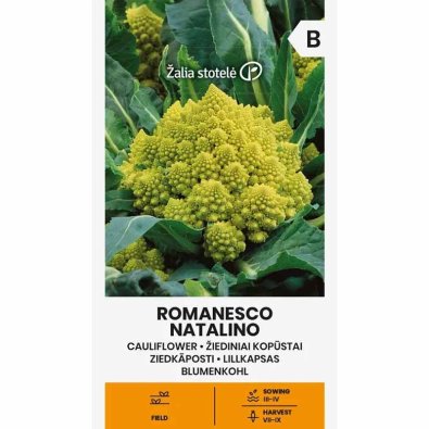 Blomkål 'Romanesco natalino'