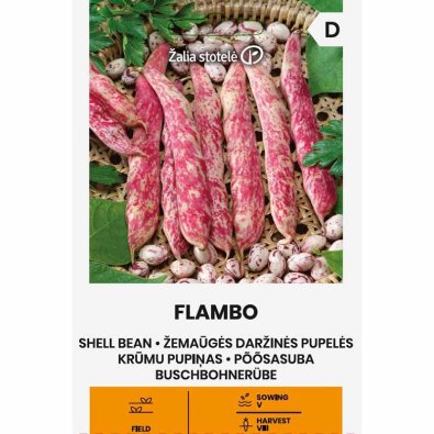Lav vækst bønne 'Flambo'