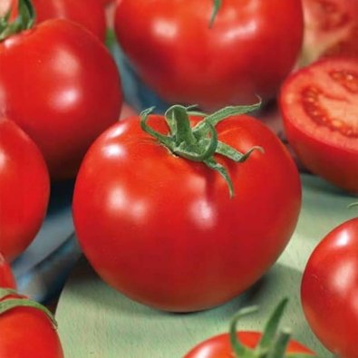 Tomat 'Baron' H