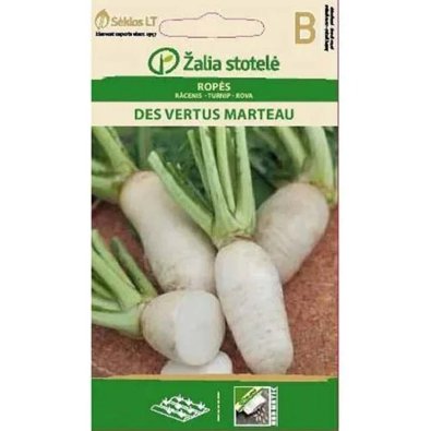 Majroe 'Des Vertus Marteau'