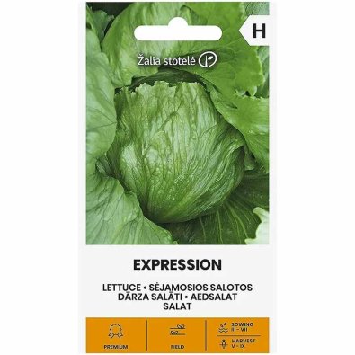 Icebergsalat 'Expression'