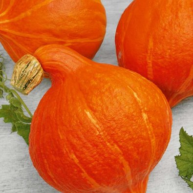 Pumpa 'Hokkaido orange'