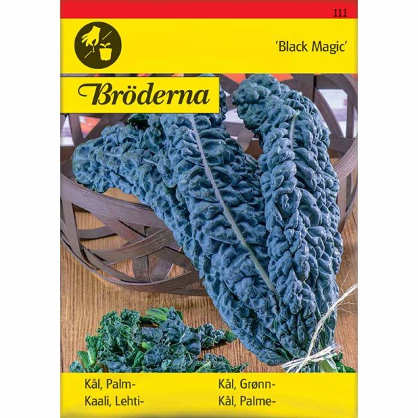 Sortkål 'Black Magic'