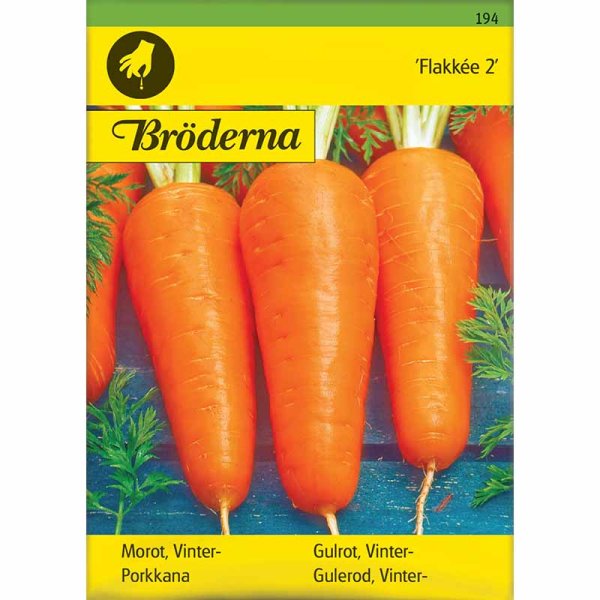 Vintergulerod 'Flakkée 2'