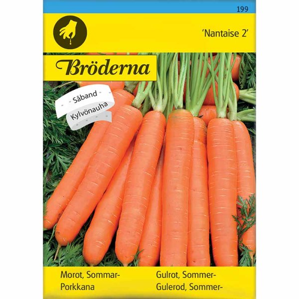 Sommergulerod 'Nantaise 2'