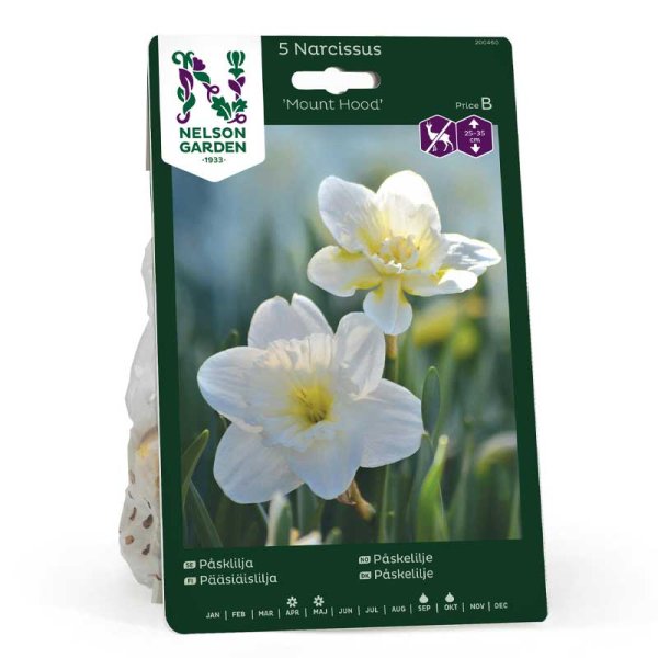 Påskelilje 'Mount Hood'