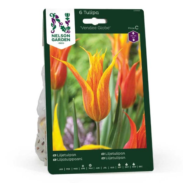 Liljetulipan 'Vendee Globe'