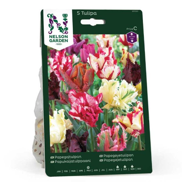 Papegøjetulipan blandede farver