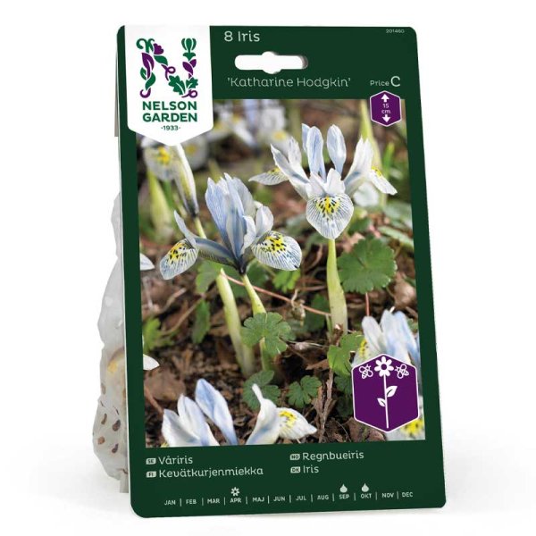 Forårsiris 'Katharine Hodgkin'