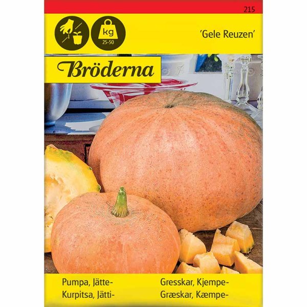 Kæmpegræskar 'Gele Reuzen'