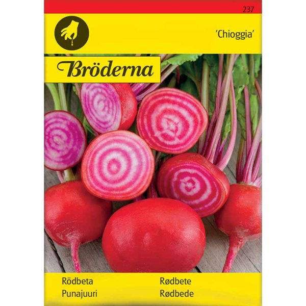 Rødbede 'Chioggia'