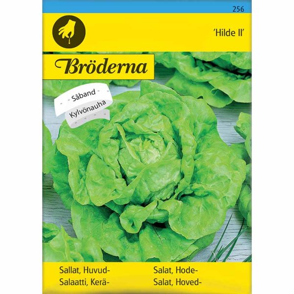 Hovedsalat 'Hilde II' Såbånd