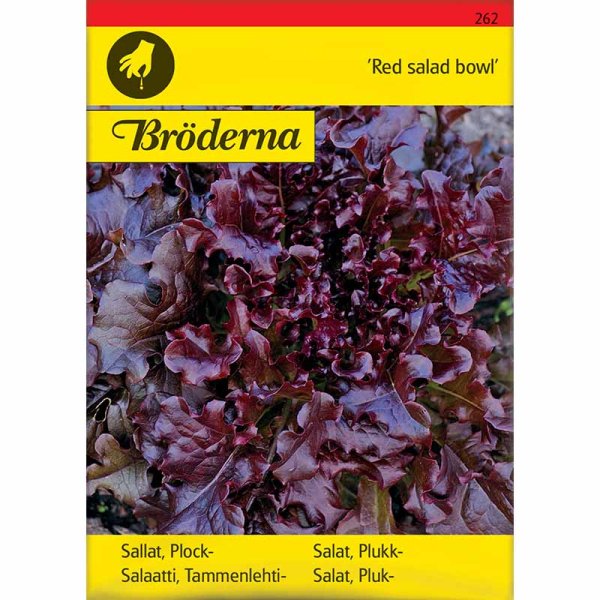 Pluksalat 'Red salad bowl'