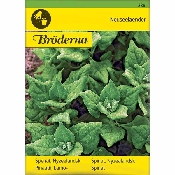 Newzealandsk spinat