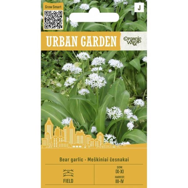 Ramsløg ’Bear Garlic’