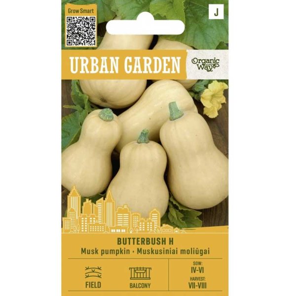 Græskar ’Butterbush H’