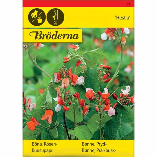 Slyngbønne 'Hestia'