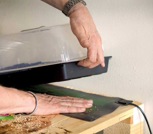 Varme måtte til forspiring 230V