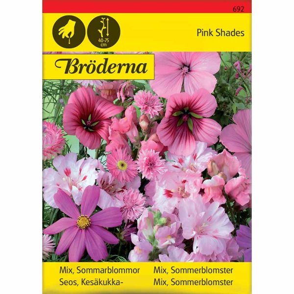 Sommerblomstblanding 'Pink Shades'