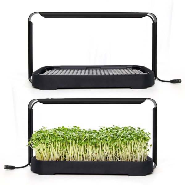 Zoom billede af Urban Root Grove Black