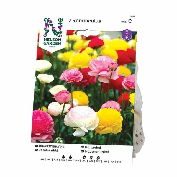 Buket-ranunkel blandede farver