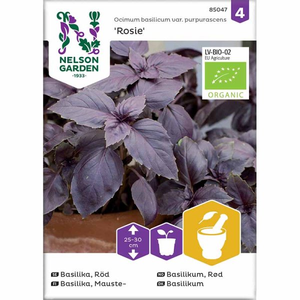Basilikum 'Rosie'