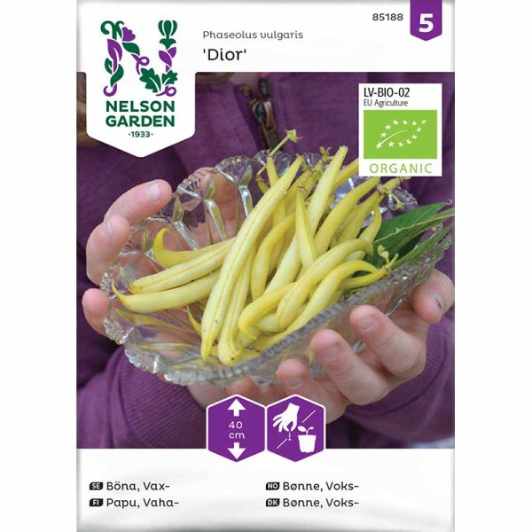Voksbønne 'Dior' økologisk