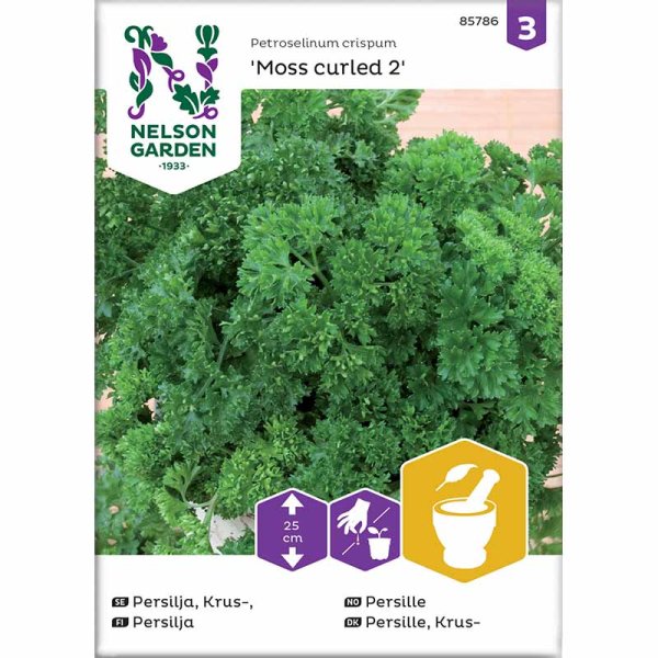 Persille 'Moss Curled 2'