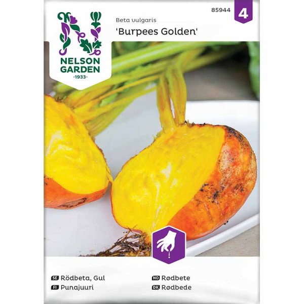Rødbede 'Burpees Golden'