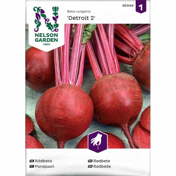Rødbede 'Detroit 2'