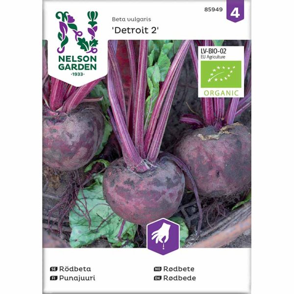 Rødbede 'Detroit 2' Økologisk
