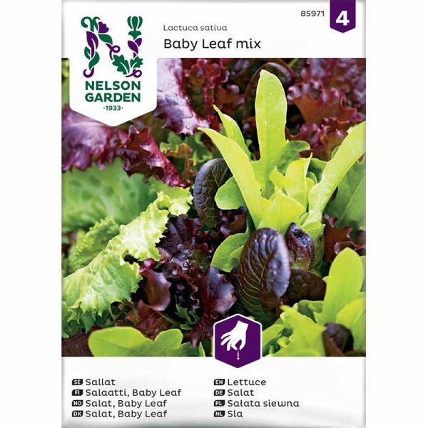 Salat 'Baby Leaf' mix