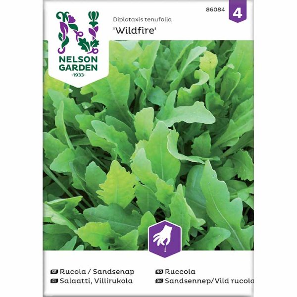 Rucola / Sandkarse 'Wildfire'