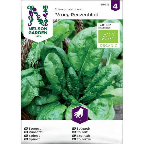 Spinach 'Vroeg Reuzenblad'
