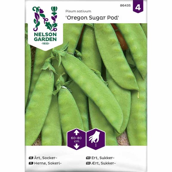 Sukkerært 'Oregon Sugar Pod'